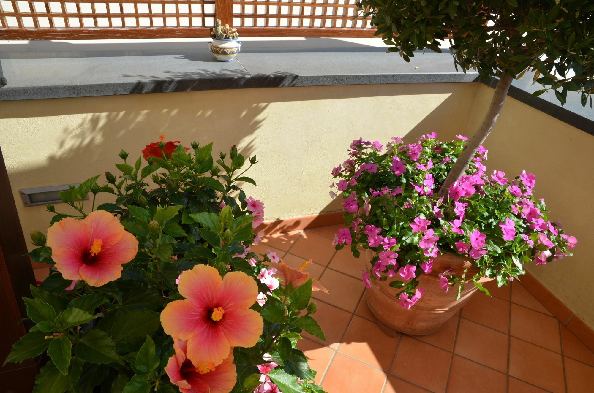 Bed & Breakfast Maria 2*